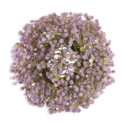 CORONA GISOFILA LAVANDER